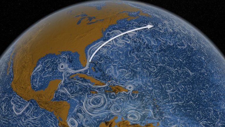 The Significance of the Gulf Stream in Climate Dynamics